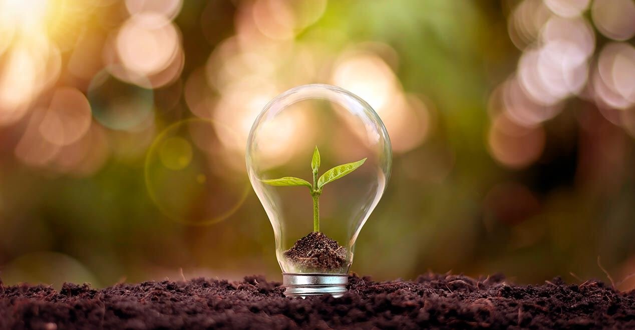 Sustainable Gardening: Best Effortless Small Space Tips