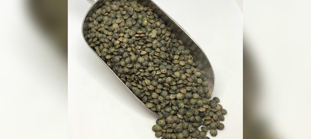 Zero Waste Living in France: Best Essential Guide