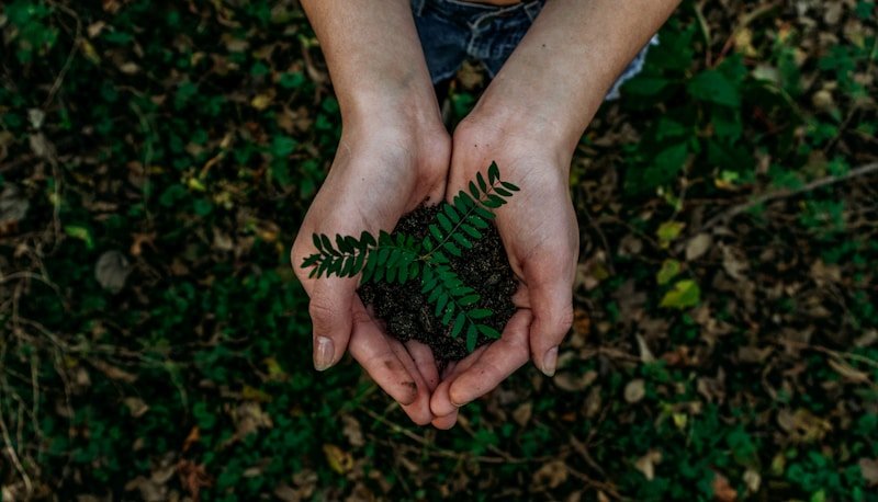 Sustainable lifestyle tips for watching the World Cup 2026