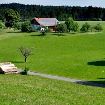 A serene countryside landscape with a white house featuring a red roof and solar panels, surrounded by lush green fields and trees. In the foreground, a neatly stacked pile of logs is situated by a narrow road, leading towards the house. A dense forest in the background adds a sense of depth.