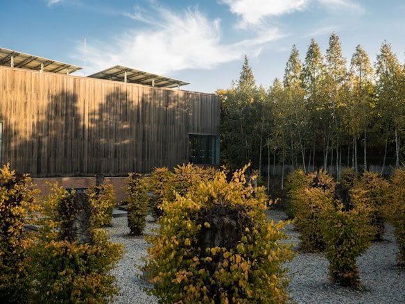 A modern wooden building with solar panels on the roof is surrounded by a meticulously arranged garden featuring small trees with autumn-colored leaves. The garden has a gravel pathway and is bordered by a line of tall trees. The sky is blue with wispy clouds, creating a serene atmosphere.